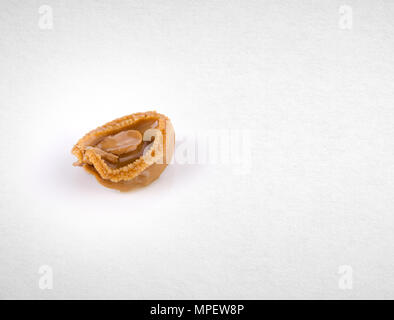 abalones or raw abalones on the background Stock Photo