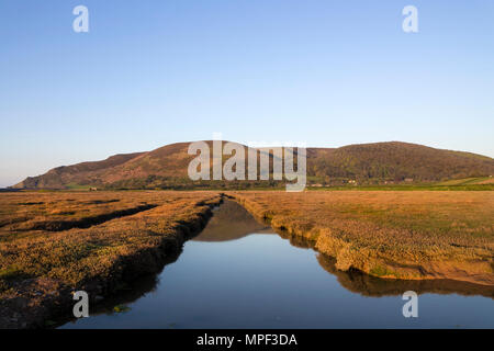 Bossington Hill Viewed From Porlock Marsh on the South West Coast Path, Exmoor National Park, Porlock, Somerset, UK Stock Photo