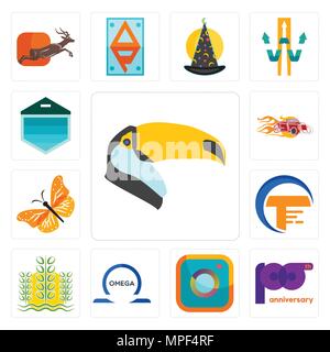 Set Of 13 simple editable icons such as toucan, 100th anniversary, camera, omega, paddy, traders, monarch butterfly, hot rod, garage door can be used  Stock Vector