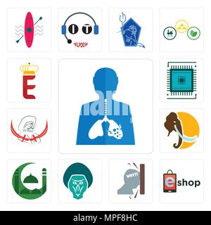 Set of inflammation, eshop, frustration, baboon, masjid, mammoth, pirate, sem, e crown icons Stock Vector