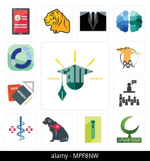 Set of education, bismillah, zipper, service dog, registe nurse, public relations, homework, hoopoe, sector icons Stock Vector