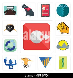 Set of output, zipper, yield, hoopoe, sports fan, montain, sector, tiger, honey badger icons Stock Vector