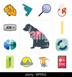 Set of service dog, login screen, hoopoe, montain, zipper, sector, free brain, spine, thermostat icons Stock Vector