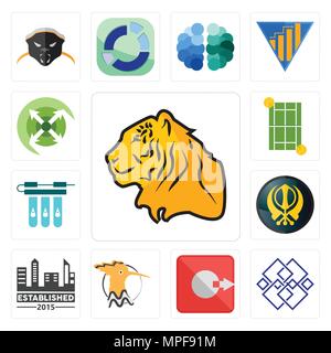 Set of tiger, generic, output, hoopoe, established, khanda, water filter, tennis court, extend icons Stock Vector