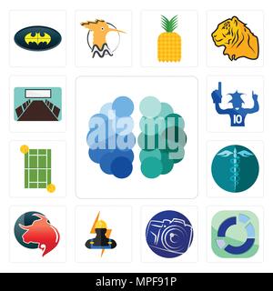 Set of free brain, sector, photography camera, electrician, taurus professional, hipaa, tennis court, sports fan, conference room icons Stock Vector