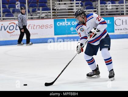 Members of the Charleston Patriots and the Charleston Enforcers play hockey during the 3rd Annual Matuskovic Charity Hockey Game at the North Charleston Coliseum & Performing Arts Center, Feb. 18, 2017. The game is played in memory of Joe Matuskovic, Charleston County Sherriff’s deputy, and other service members and first responders killed in the line of duty. Members of the Charleston Patriots are from Joint Base Charleston while members of the Charleston Enforcers are from the Charleston County Sheriff’s office and fire department.The Charleston Enforcers won the game with a final score of 1 Stock Photo