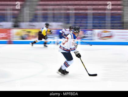 Members of the Charleston Patriots and the Charleston Enforcers play hockey during the 3rd Annual Matuskovic Charity Hockey Game at the North Charleston Coliseum & Performing Arts Center, Feb. 18, 2017. The game is played in memory of Joe Matuskovic, Charleston County Sherriff’s deputy, and other service members and first responders killed in the line of duty. Members of the Charleston Patriots are from Joint Base Charleston while members of the Charleston Enforcers are from the Charleston County Sheriff’s office and fire department.The Charleston Enforcers won the game with a final score of 1 Stock Photo