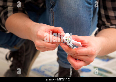 Close-up of a woman artist in jeans cleans and prepares the airbrush for the work of painting the walls. Stock Photo