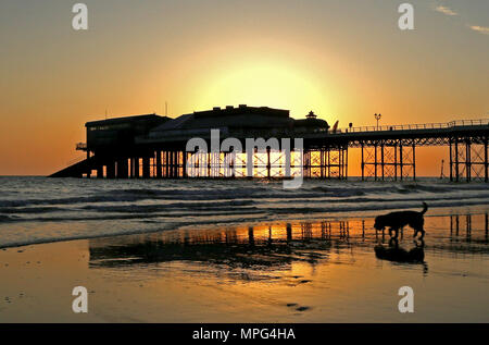 Cromer pier, Norfolk. 22nd May, 2018. UK Weather: A dog walks on the beach as the sun rises behind Cromer pier on a beautiful start to the day in Cromer, North Norfolk, on May 22, 2018. Credit: Paul Marriott/Alamy Live News Stock Photo