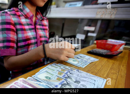 Yangon, Myanmar. 23rd May, 2018. A clerk checks U.S. hundred dollars bills at a foreign currency exchange counter in Yangon, Myanmar, May 23, 2018. The Central Bank of Myanmar has raised its exchange rate with U.S. dollar to 1,351 kyats per dollar Tuesday, registering a high exchange rate in the local currency market, according to the official Global New Light of Myanmar Wednesday. Credit: U Aung/Xinhua/Alamy Live News Stock Photo