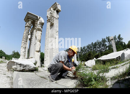 Beijing, China. 23rd May, 2018. Staff members clean up weeds at ruins of Yuanying Guan (Immense Ocean Observatory) at Yuanmingyuan in Beijing, capital of China, May 23, 2018. The four-month reinforcement project of ruins of Immense Ocean Observatory at the historical site of Yuanmingyuan started lately. Credit: Luo Xiaoguang/Xinhua/Alamy Live News Stock Photo