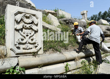 Beijing, China. 23rd May, 2018. Staff members clean up weeds at ruins of Yuanying Guan (Immense Ocean Observatory) at Yuanmingyuan in Beijing, capital of China, May 23, 2018. The four-month reinforcement project of ruins of Immense Ocean Observatory at the historical site of Yuanmingyuan started lately. Credit: Luo Xiaoguang/Xinhua/Alamy Live News Stock Photo