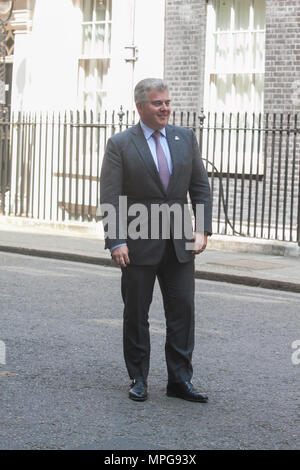 London UK. 23rd May 2018. Brandon Lewis MP, Chairman of the Conservative Party and Minister without Portfolio  outside 10 Downing Street Credit: amer ghazzal/Alamy Live News Stock Photo