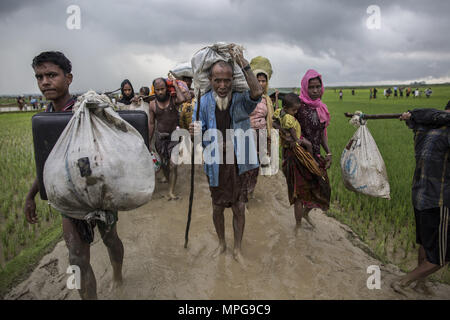 September 3, 2017 - Mohammad Solaiman(middle), 65, carrying his belonging from Myanmar, has crossed the border into Bangladesh on 3 September, after three days of walking to escape violence in his village. In a grueling journey to cross into safety, the strongest carry the weakest in the damp paddy fields and heavy monsoon rainfall. The rain is heavy and frequent, and makes the ground incredibly wet and muddy, thus making it even more difficult to walk through. The journey to Bangladesh was hard for the Rohingya refugees, especially because there were many children and elderly people fleeing Stock Photo