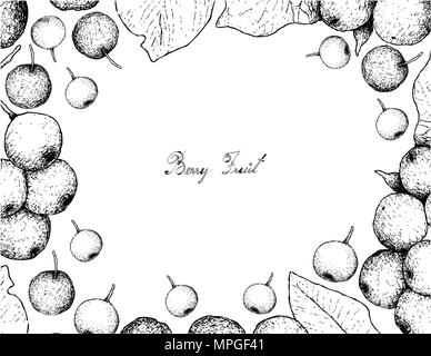Berry Fruit, Illustration Frame of Hand Drawn Sketch of Arrowwood Berries or Globose Berries and Black Cherries or Prunus Serotina Fruits Isolated on  Stock Vector