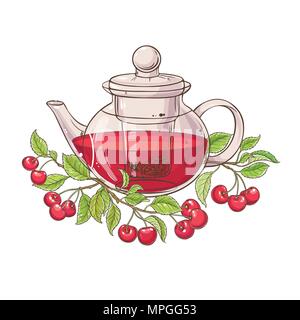 cherry tea vector illustration on white background Stock Vector