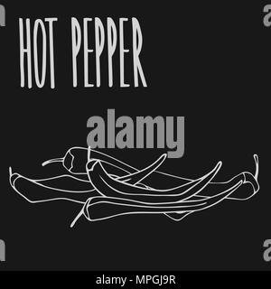 Isolate ripe red hot chili pepper as chalk on blackboard. Close up clipart in chalkboard style. Hand drawn icon Stock Vector
