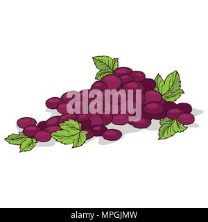 Isolate ripe grape fruit on white background. Close up clipart with shadow in flat realistic cartoon style. Hand drawn icon Stock Vector