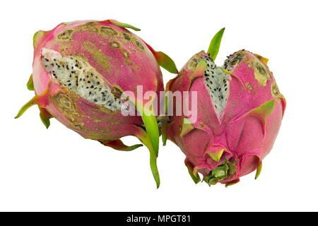 Rotten dragon fruit isolated on white background Stock Photo