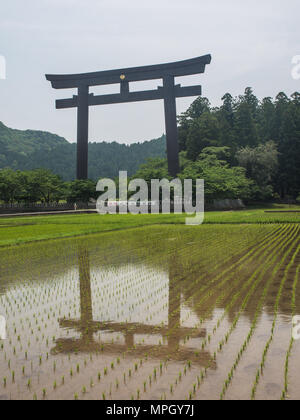 Otorii, largest torii gate in the world at the entrance to Oyunohara, original location of Kumano Hongu Taisha world heritage shrine, Wakayama, Japan Stock Photo
