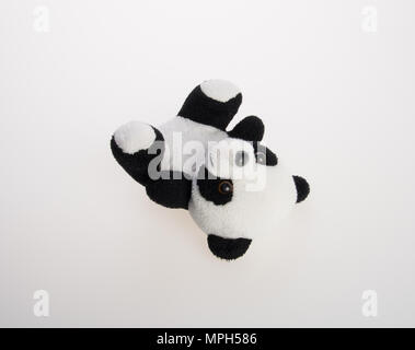 toy or panda soft toy on a background Stock Photo