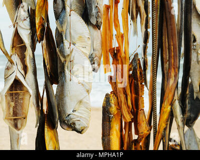 Dried fish of different species hanging on a thread. Stock Photo