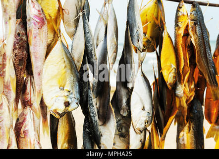 Dried fish of different species hanging on a thread. Stock Photo