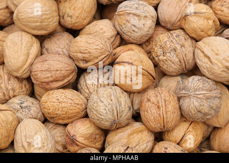 Pile of walnuts. Agriculture background. Stock Photo