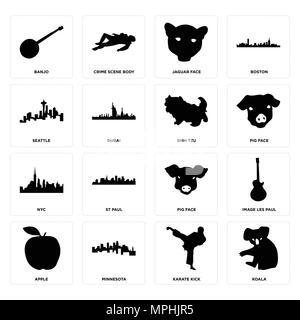 Set Of 16 simple editable icons such as koala, karate kick, minnesota, apple, image les paul, banjo, seattle, nyc, shih tzu can be used for mobile, we Stock Vector