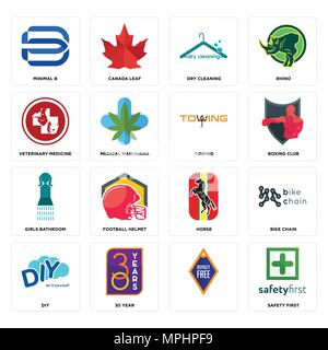 Set Of 16 simple editable icons such as safety first, , 30 year, diy, bike chain, minimal b, veterinary medicine, girls bathroom, towing can be used f Stock Vector