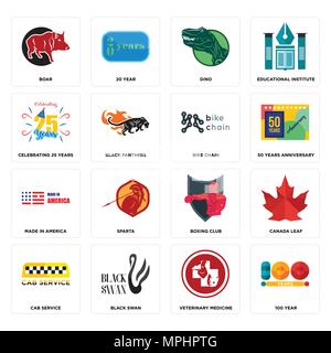 Set Of 16 simple editable icons such as 100 year, veterinary medicine, black swan, cab service, canada leaf, boar, celebrating 25 years, made in ameri Stock Vector