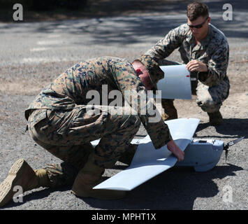 A Puma All Environment Unmanned Aerial System (UAS) is launched by ...
