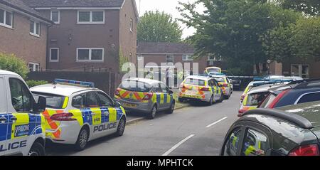 fatal stabbing scene year old alamy police