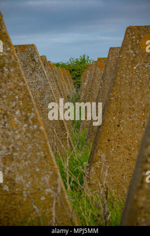 Coastal defences on the Isle of Grain, Kent United Kingdom from World War 2 to defend against a Nazi invasion of Britain Stock Photo