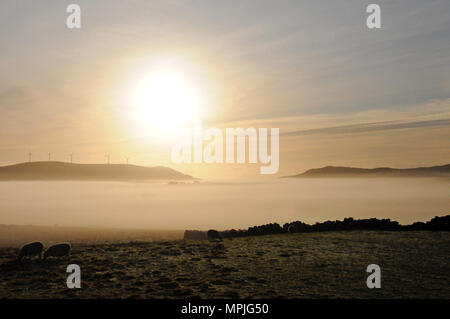 Windmills on hilltops on a misty morning with the sun just rising and mist in the valley below them Stock Photo