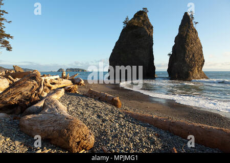 Rialto Beach, Olympic Coast, Washington State, USA Stock Photo