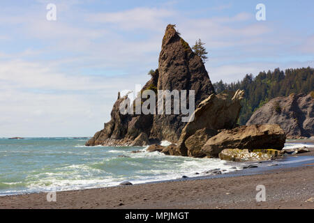 Rialto Beach, Olympic Coast, Washington State, USA Stock Photo