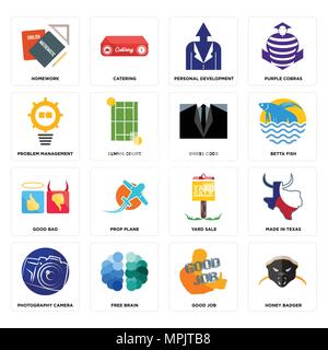 Set Of 16 simple editable icons such as honey badger, good job, free brain, photography camera, made in texas, homework, problem management, bad, dres Stock Vector