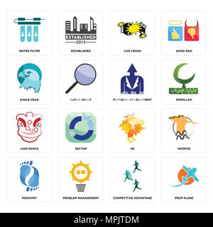 Set Of 16 simple editable icons such as prop plane, competitive advantage, water filter, podiatry, hoopoe, de, sector, established can be used for mob Stock Vector