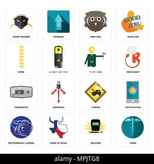 Set Of 16 simple editable icons such as hipaa, welding, made in texas, photography camera, notification, honey badger, spine, thermostat, tour guide c Stock Vector