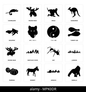 Set Of 16 simple editable icons such as gorilla, jamaica, donkey, pumpkin, london, chameleon, goldfish, moose head, yin yang can be used for mobile, w Stock Vector