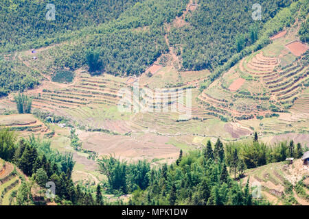 Rice terraces and mountain view, Sapa, Vietnam Stock Photo