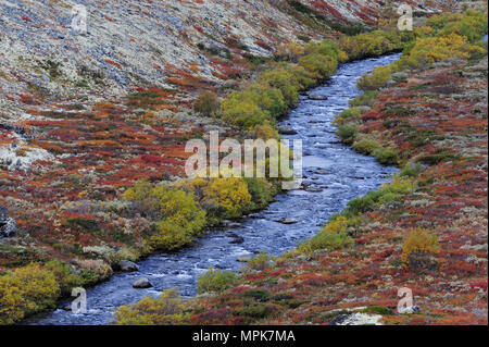 River landscape in autumn, dovrefjell, norway Stock Photo