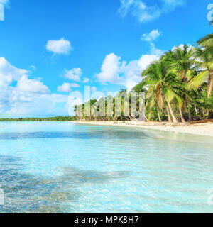 secluded beach on Saona Island, La Romana, Dominican Republic Stock Photo