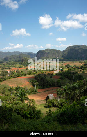 The mogotes dominate the Valle de Vinales in the tobacco growing fields of Cuba Stock Photo