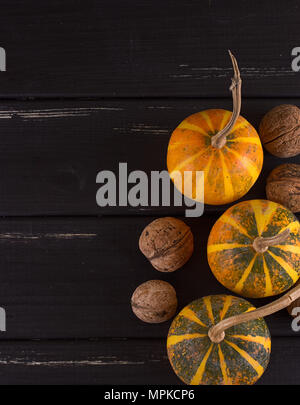 Small pumpkin yellow on the black background. Stock Photo