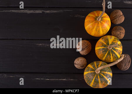 Small pumpkin yellow on the black background. Stock Photo