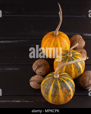 Small pumpkin yellow on the black background. Stock Photo