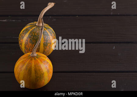 Small pumpkin yellow on the black background. Stock Photo