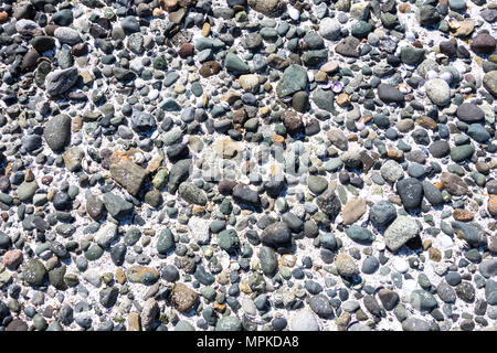 Pebbles on beach - Hornby Island, BC, Canada. Stock Photo